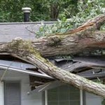 tree damage Rhode Island roofing estimates